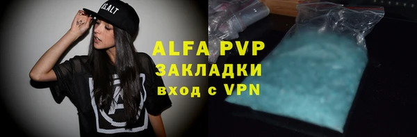стафф Алзамай
