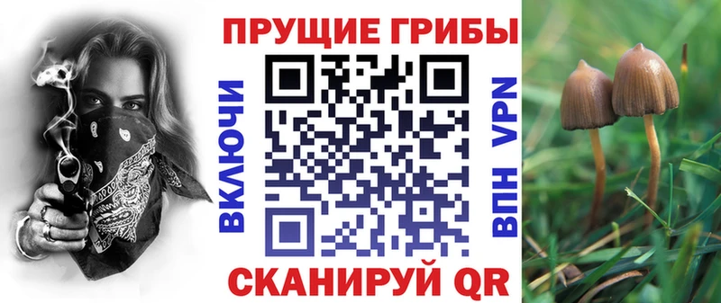 Галлюциногенные грибы GOLDEN TEACHER  Шиханы 